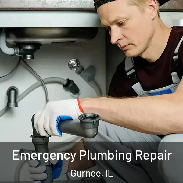  Emergency Plumbing Repair Gurnee, IL