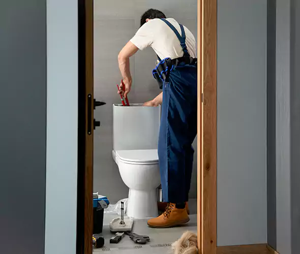 Professional Plumbers for Toilet Bowl Replacement in Gurnee, IL: Schedule Affordable Toilet Replacement Services With Us