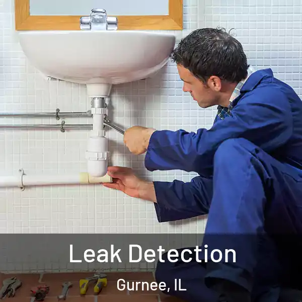  Leak Detection Gurnee, IL