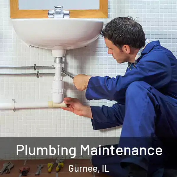  Plumbing Maintenance Gurnee, IL