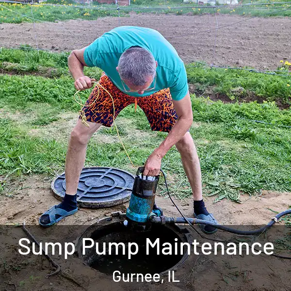  Sump Pump Maintenance Gurnee, IL