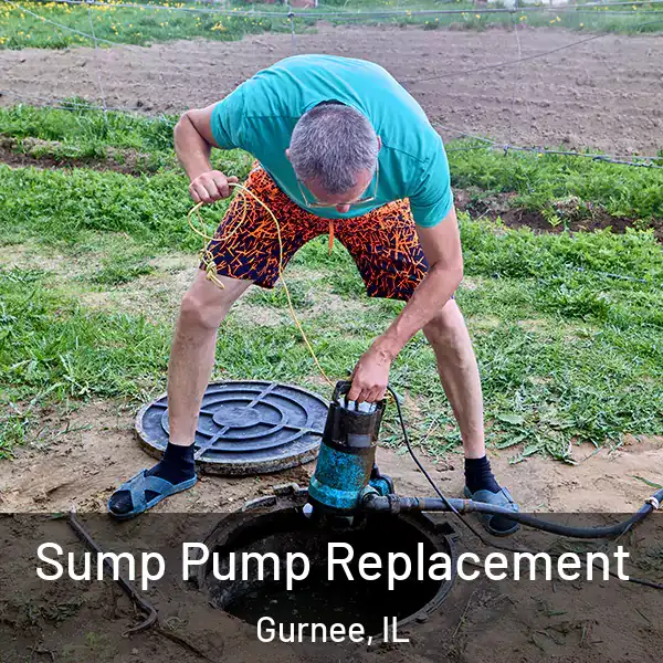  Sump Pump Replacement Gurnee, IL
