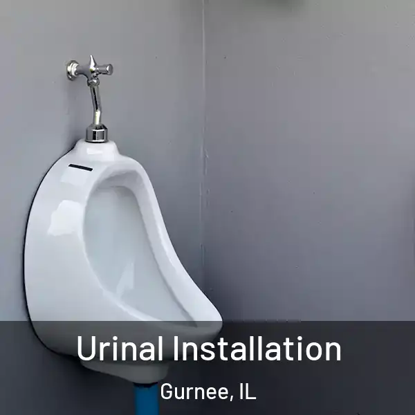 Urinal Installation Gurnee, IL