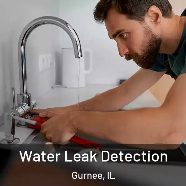 Water Leak Detection Gurnee, IL