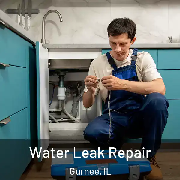  Water Leak Repair Gurnee, IL